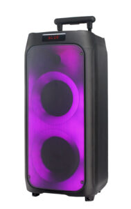 party speaker GD-2619 6.5"*2