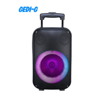 GD-901 main