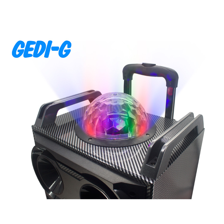 GD-1010