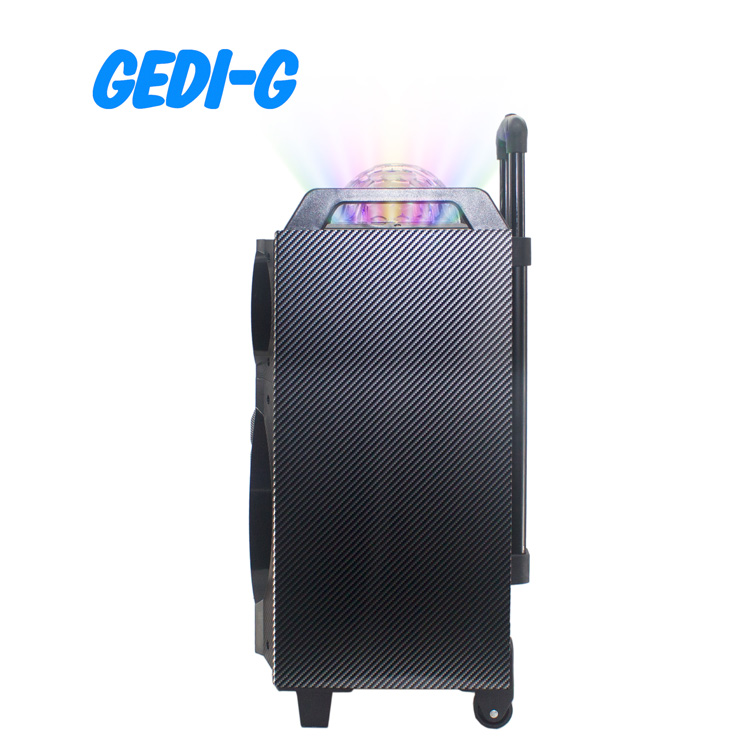 GD-1010