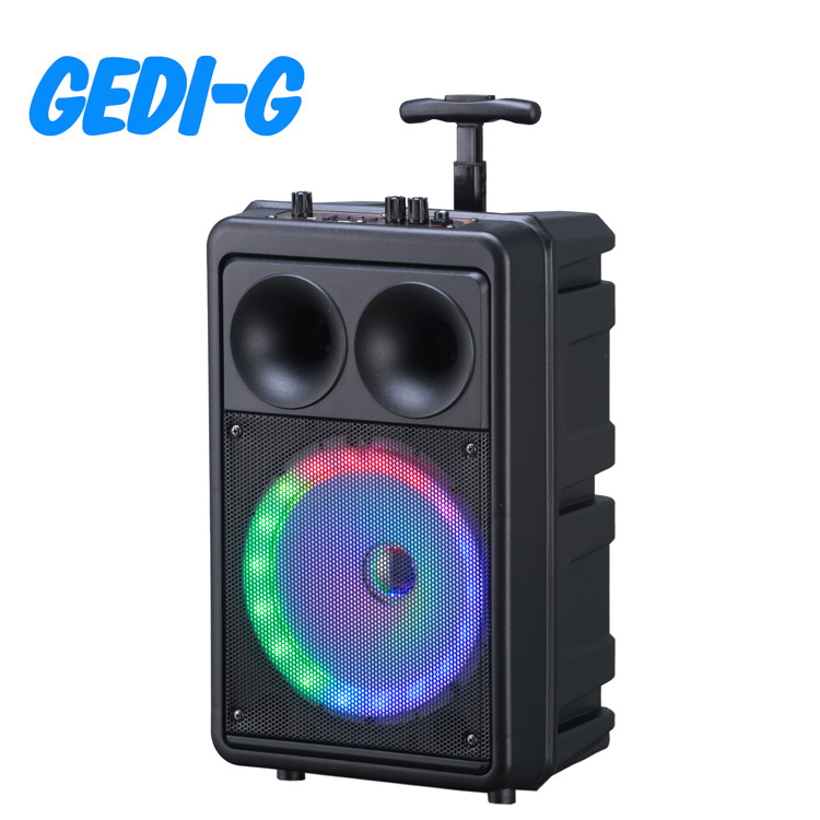 8 inch 15W Blue Tooth Speaker
