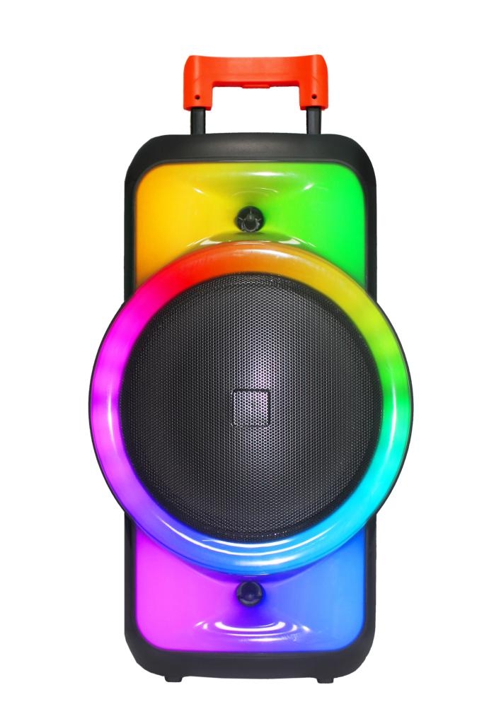 12-inch Blue Tooth Speaker